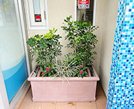 25 東京 江戸川 病院 エントランス プランター futatoki 事例