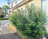 25 東京 江戸川 病院 エントランス プランター futatoki 事例