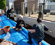 25 東京 渋谷 メモリアルパーク 植栽 学校跡地 futatoki 事例