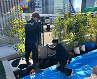 25 東京 渋谷 メモリアルパーク 植栽 学校跡地 futatoki 事例