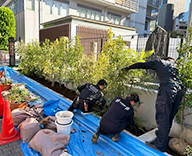 25 東京 渋谷 メモリアルパーク 植栽 学校跡地 futatoki 事例
