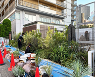 25 東京 渋谷 メモリアルパーク 植栽 学校跡地 futatoki 事例