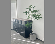 25 高輪 1 造木 フェイク 造花 SEASONS 事例