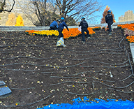 25 東京 横網町公園 花壇 植替え 季節 futatoki 事例