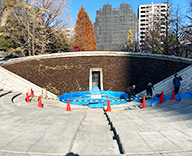 25 東京 横網町公園 花壇 植替え 季節 futatoki 事例