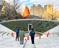 25 東京 横網町公園 花壇 植替え 季節 futatoki 事例