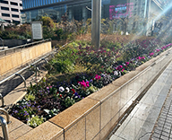 25 東京 中央区 築地 石川島 花壇 futatoki 事例