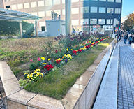 25 東京 中央区 築地 石川島 花壇 futatoki 事例