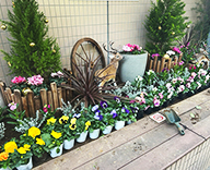 25 東京 江戸川 病院 エントランス 花壇 futatoki 事例