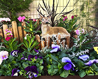 25 東京 江戸川 病院 エントランス 花壇 futatoki 事例