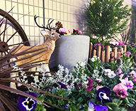 25 東京 江戸川 病院 エントランス 花壇 futatoki 事例