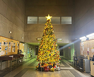 25 川越 建屋内 Xmasツリー クリスマス装飾 Xmas装飾 SEASONS 事例