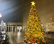 25 川越 建屋内 Xmasツリー クリスマス装飾 Xmas装飾 SEASONS 事例