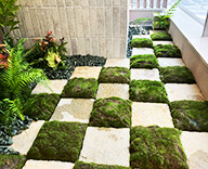 26 宮崎 ショールーム 観葉植物 観葉レンタル インテリア SEASONS 事例