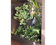 26 埼玉県 住宅展示場 観葉植物 観葉レンタル インテリア hitotoki 事例