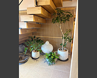 26 茨城県 住宅展示場 観葉レンタル 観葉植物 インテリア hitotoki 事例