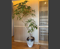 26 茨城県 住宅展示場 観葉レンタル 観葉植物 インテリア hitotoki 事例