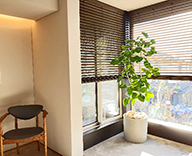 26 箕面 住宅展示場 観葉植物 観葉レンタル インテリア hitotoki 事例