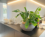 26 箕面 住宅展示場 観葉植物 観葉レンタル インテリア hitotoki 事例
