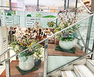 26 銀座 階段踊り場 造花 桜 春 SEASONS 事例
