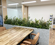26 鶴見 オフィス内 フェイクグリーン 造花 オフィス装飾 hitotoki 事例