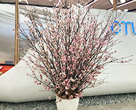 26 六本木 オフィス 桜 さくら サクラ SEASONS 事例