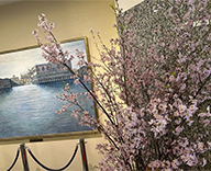 26 京橋 エントランス 日本橋 桜 春装飾 SEASONS 事例