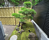26 世田谷区 外構 和風庭園 松 個人邸 futatoki 事例