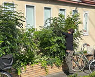 26 東京 江戸川 個人医院 花壇管理 植栽管理 futatoki 事例