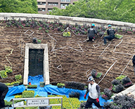 26 東京都 墨田区 都立公園 花壇管理 季節の花苗 futatoki 事例
