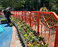 26 東京都 中央区 じゃぶ池 じゃぶじゃぶ池 花で彩り futatoki 事例