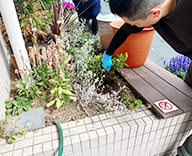 26 東京都 江戸川区 病院エントランス 花壇 植替え futatoki 事例