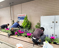 26 東京都 江戸川区 病院エントランス 花壇 植替え futatoki 事例