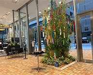 26 京橋 エントランス オフィスビル 七夕 装飾 SEASONS 事例