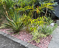 26 心斎橋 植栽地 外構植栽 砂利 HOTEL futatoki 事例