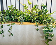 26 福岡 個人邸 造花装飾 造花グリーン 観葉 SEASONS 事例