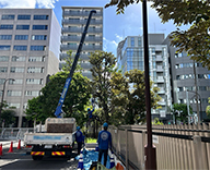 26 品川区 外構植栽 伐採 樹木検査 樹木医 futatoki 事例
