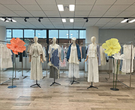 26 千代田区 展示会 サボテン 多肉植物 ジャイアントフラワー SEASONS 事例