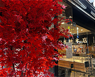26 銀座 店舗 秋 造花 アレンジメント SEASONS 事例