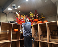 26 銀座 店舗 秋 造花 アレンジメント SEASONS 事例