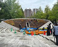 26 東京都 墨田区 横網町公園 慰霊碑花壇 立体花壇 futatoki 事例
