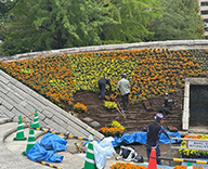26 東京都 墨田区 横網町公園 慰霊碑花壇 立体花壇 futatoki 事例