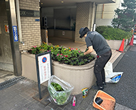 26 東京都 港区 マンション エントランス花壇 草花植栽 futatoki 事例