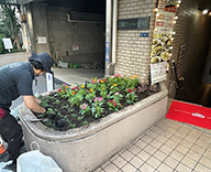 26 東京都 港区 マンション エントランス花壇 草花植栽 futatoki 事例