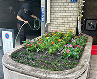 26 東京都 港区 マンション エントランス花壇 草花植栽 futatoki 事例