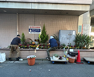 26 東京都 江戸川区 病院 エントランス花壇 季節の植込み futatoki 事例