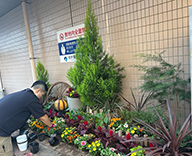 26 東京都 江戸川区 病院 エントランス花壇 季節の植込み futatoki 事例