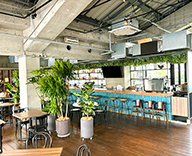 26 港区 店内 日の出桟橋 観葉装飾 インドアグリーン hitotoki 事例