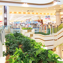 Shopping Mall/Shop