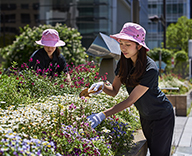 19 Futatoki 緑化 造園 花壇 花門フラワーゲート 新ブランド